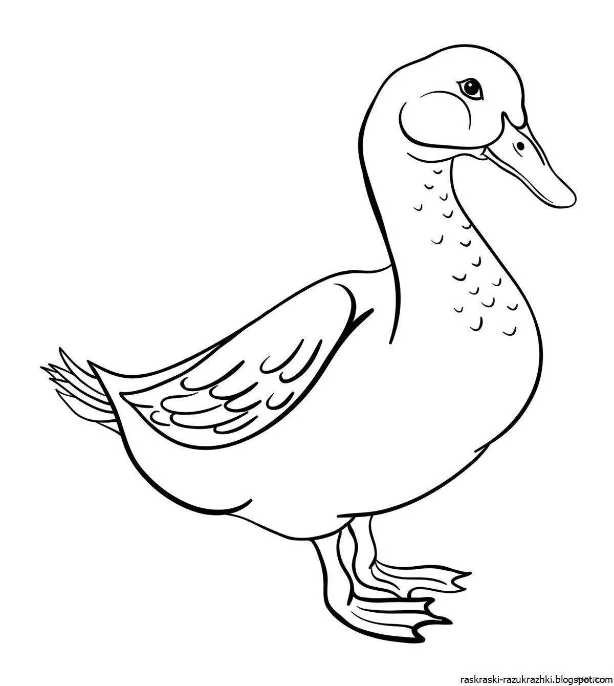 Colored goose coloring book for kids