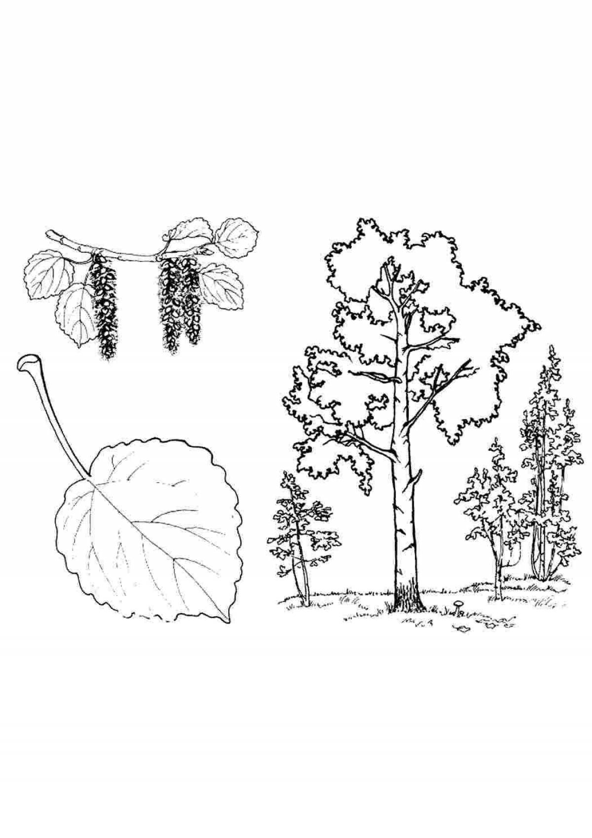 Adorable birch coloring book for kids
