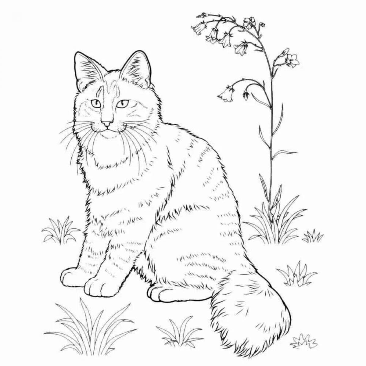 Curious cats coloring pages for boys