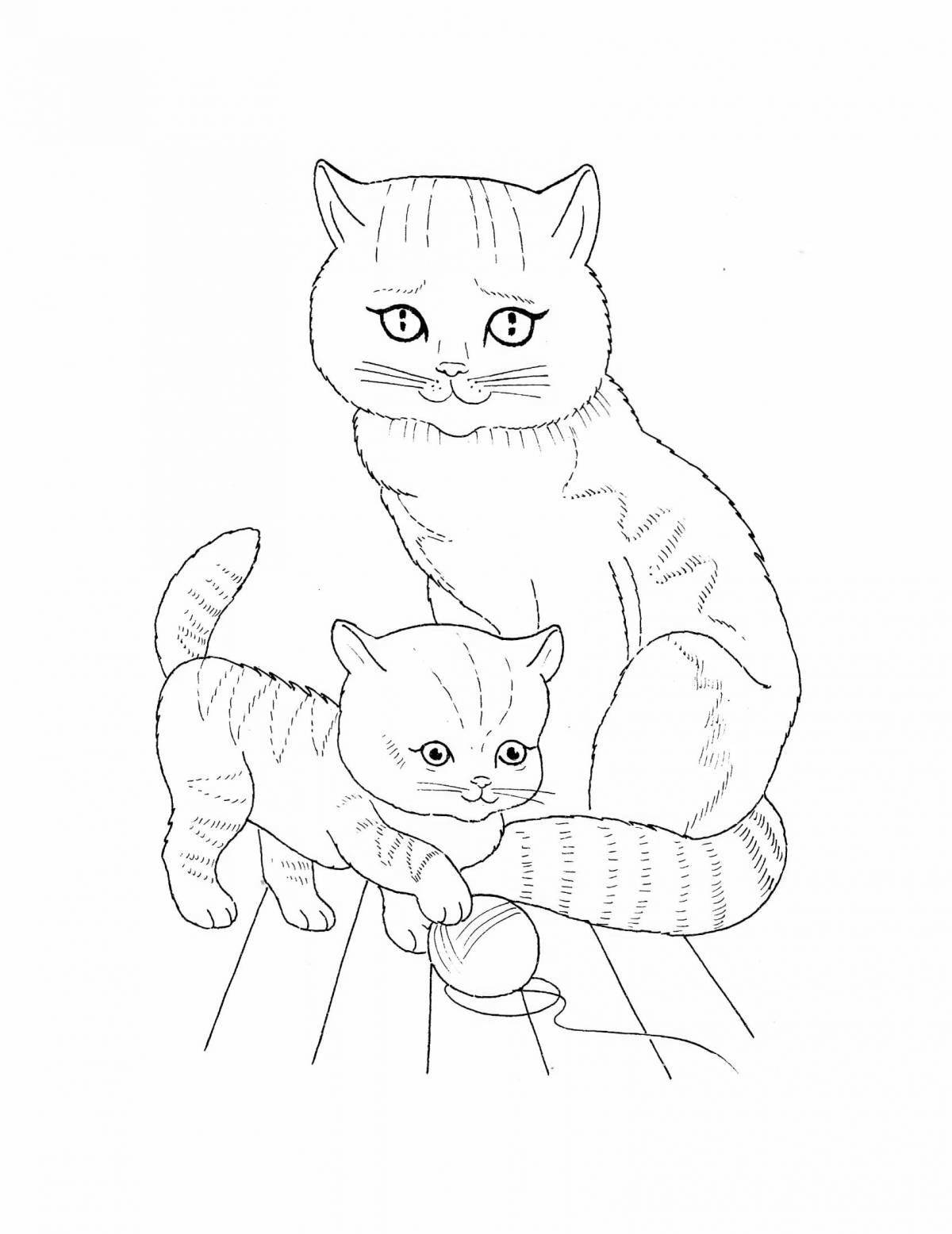 Adorable cat coloring pages for boys