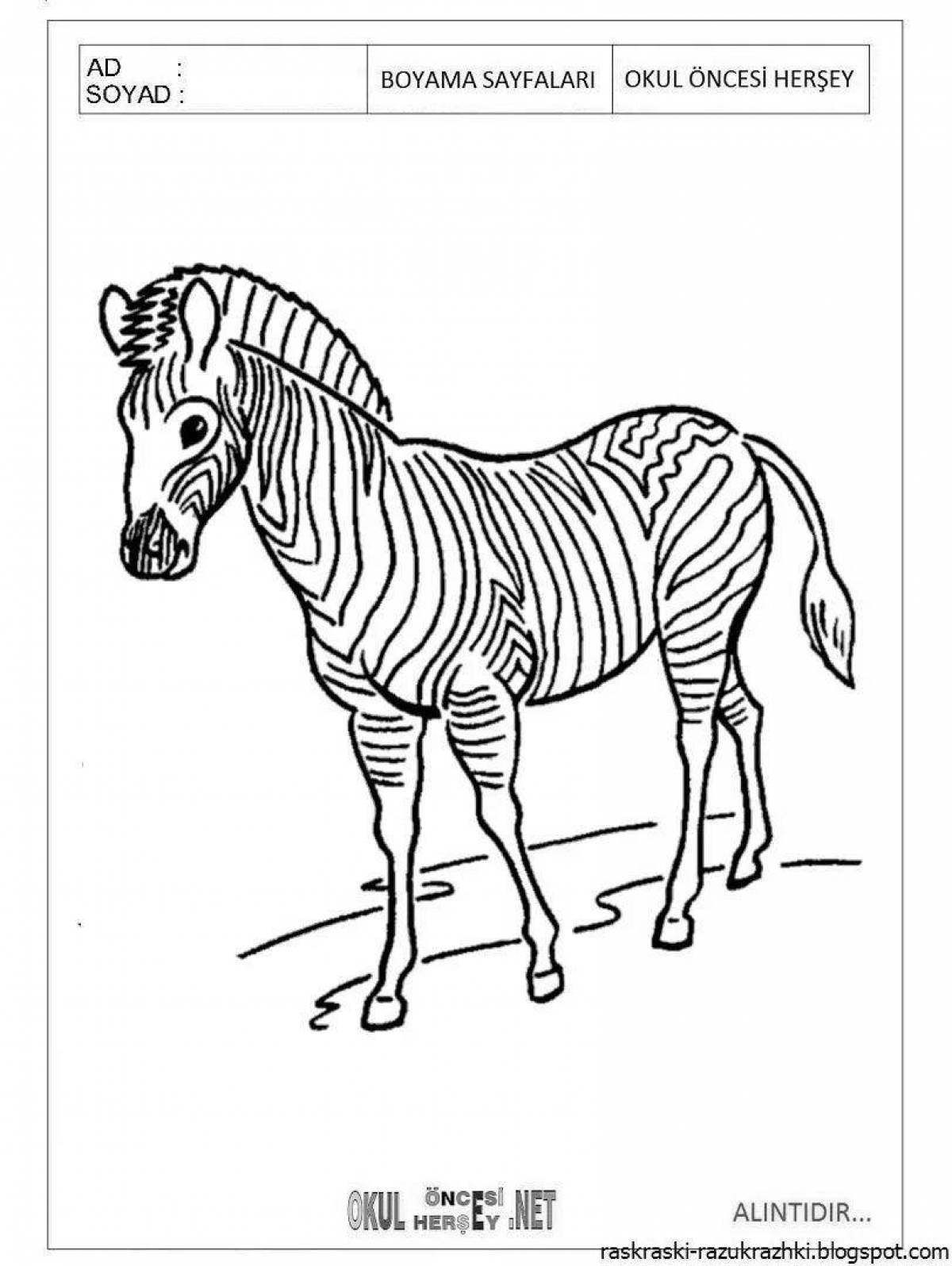 Playful zebra coloring page for kids