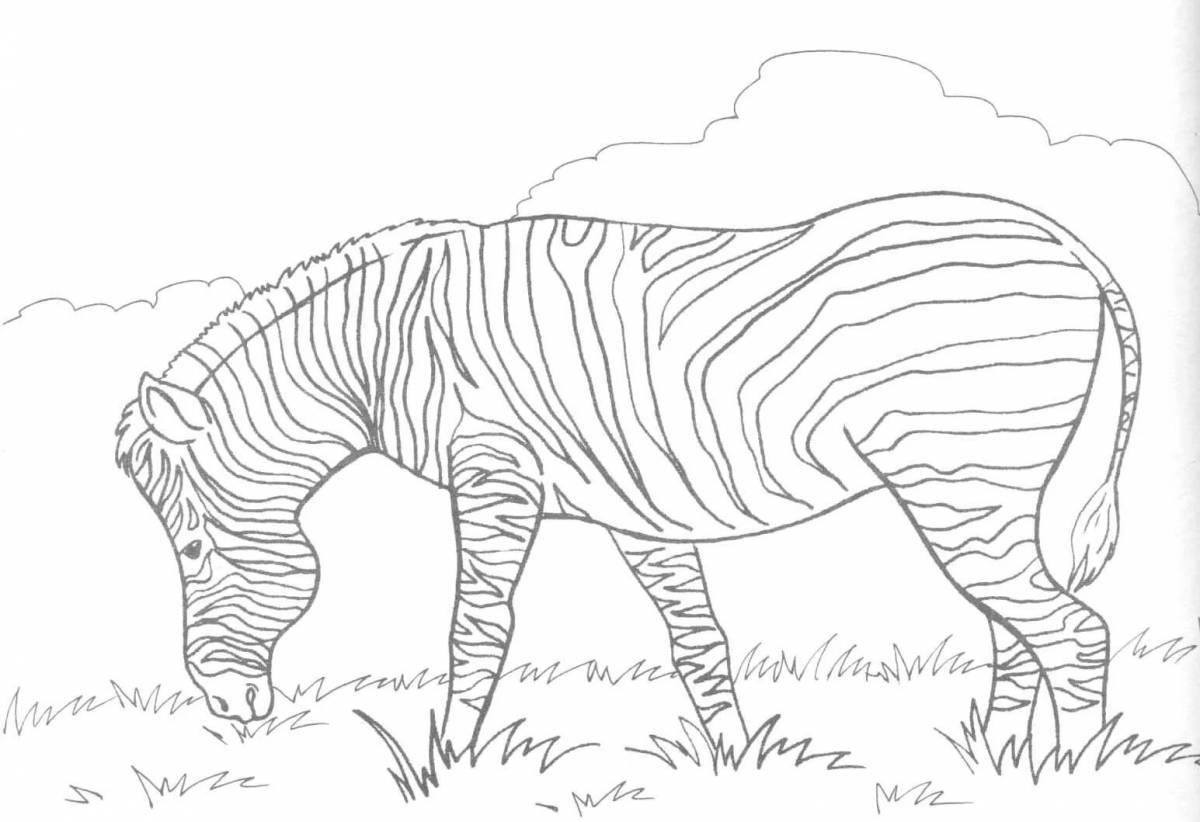 Сладкая зебра раскраска для детей