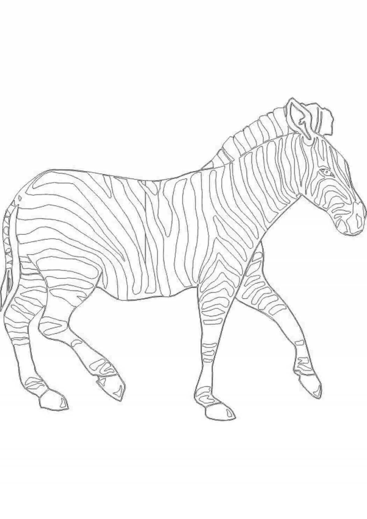 Инновационная раскраска зебра для детей