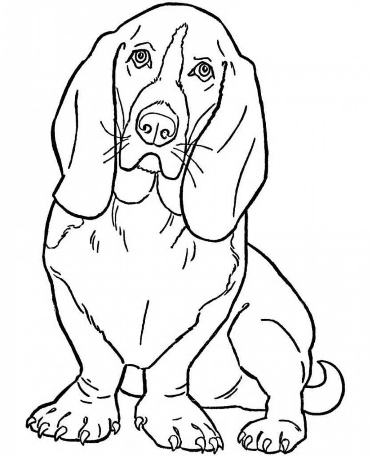 Playful dog coloring for boys