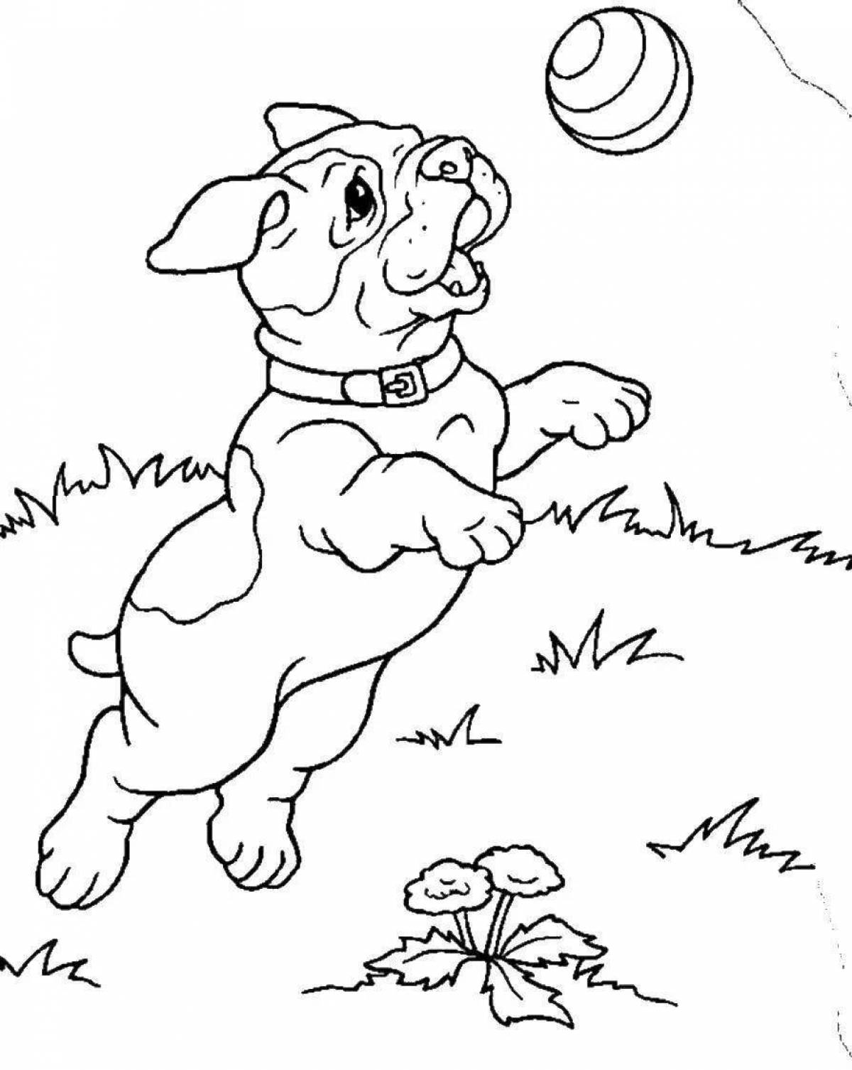 Cute dog coloring pages for boys