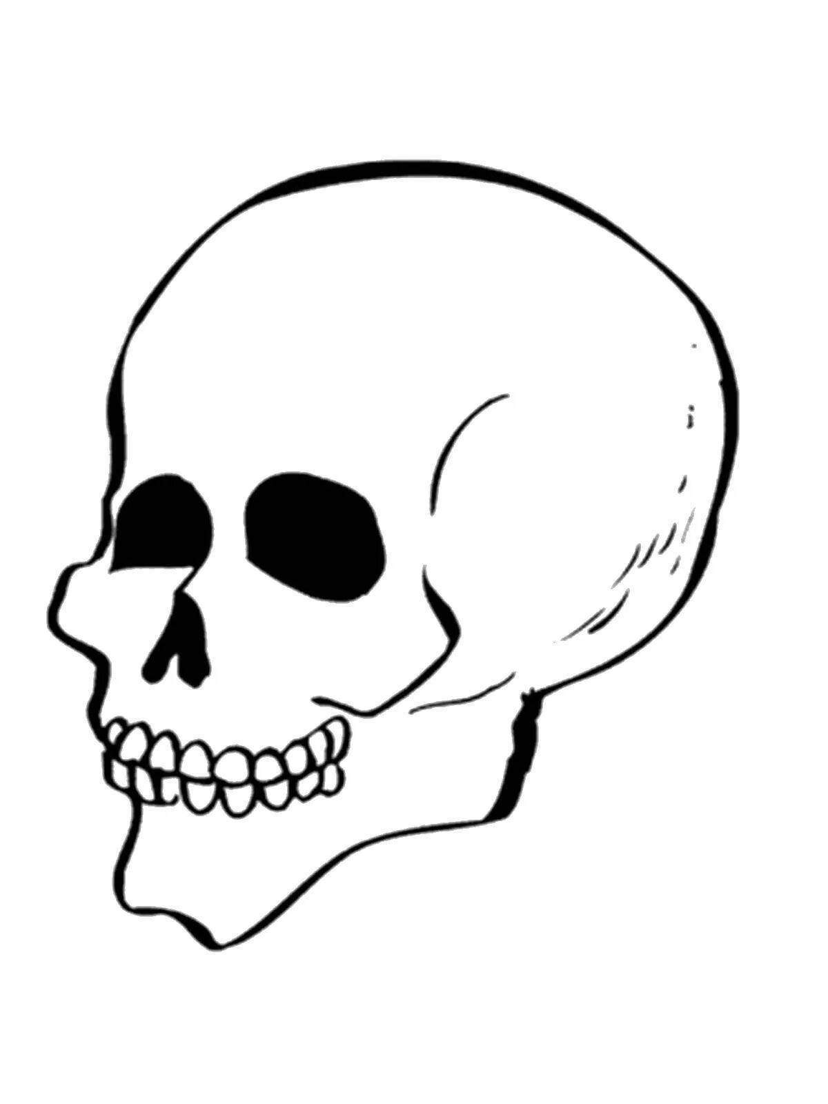 Skull for kids #11