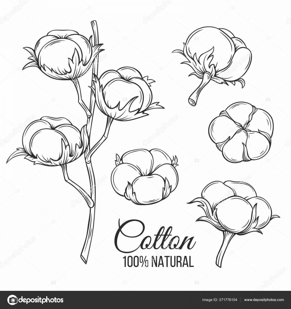 Colorful cotton coloring page for kids