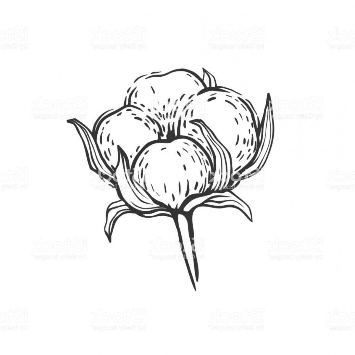 Creative cotton coloring book for kids