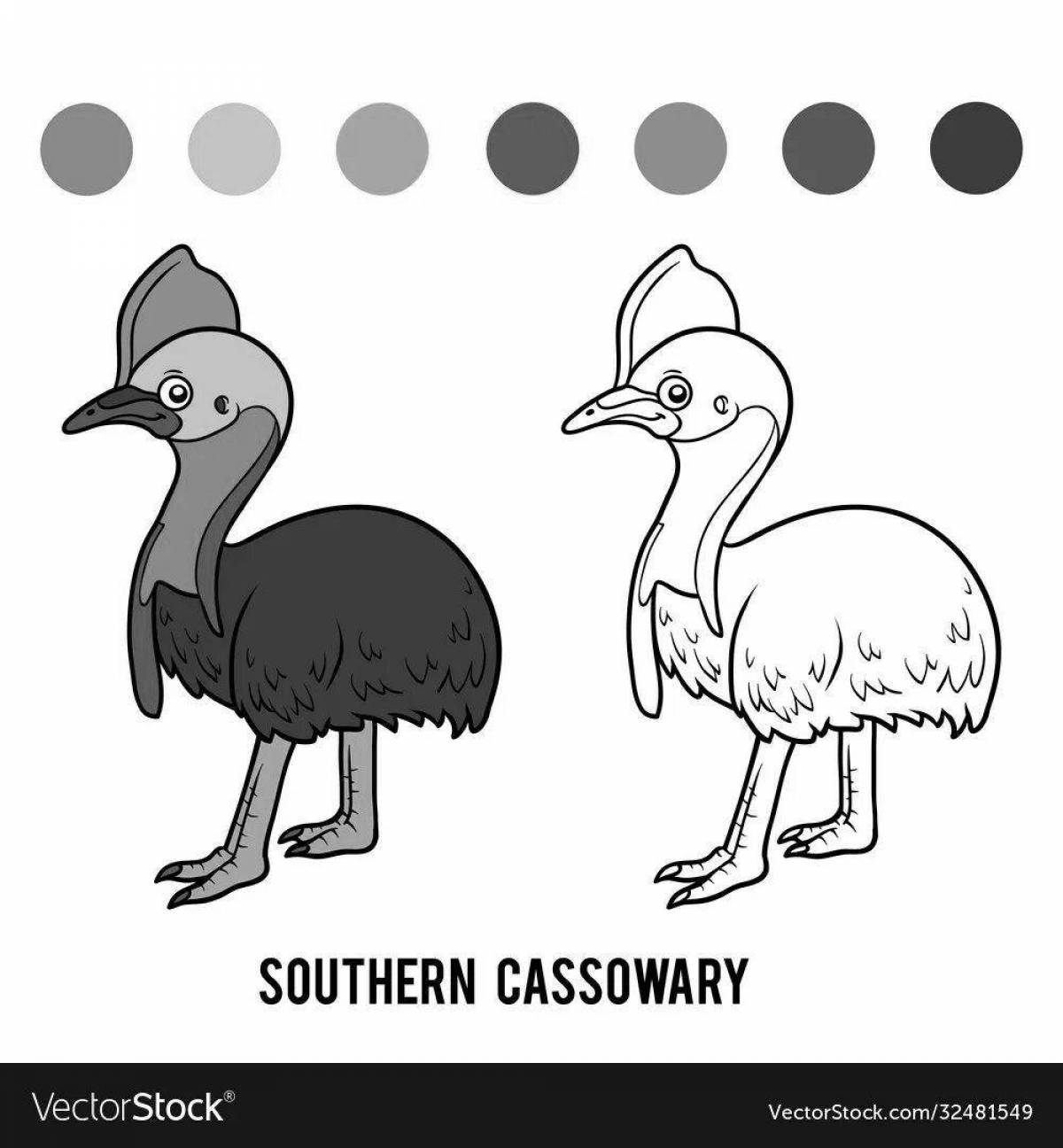 Colorful cassowary coloring book for kids