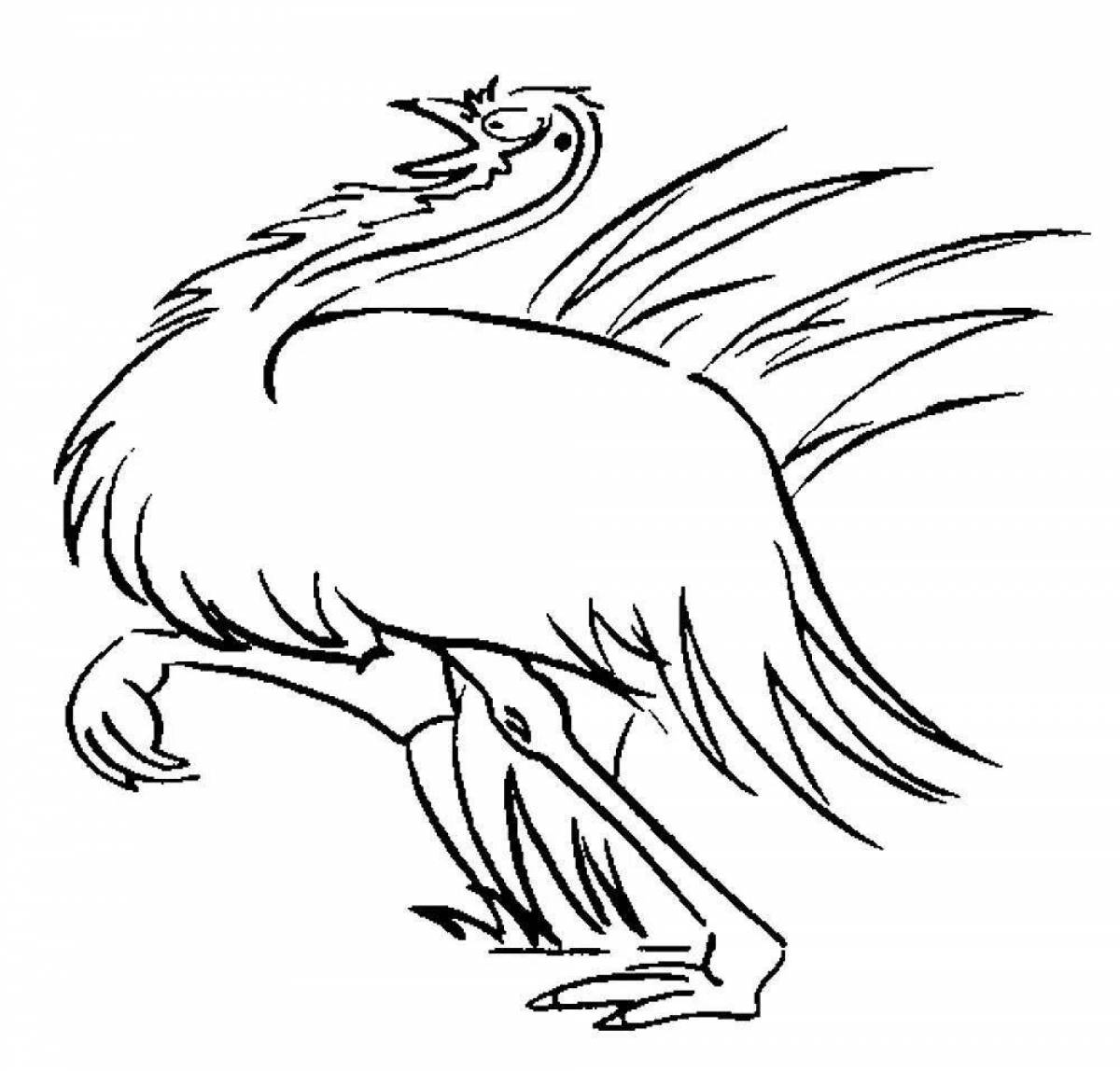 Funny cassowary coloring pages for kids