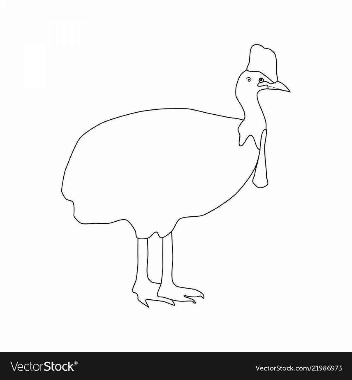 Playful cassowary coloring for kids