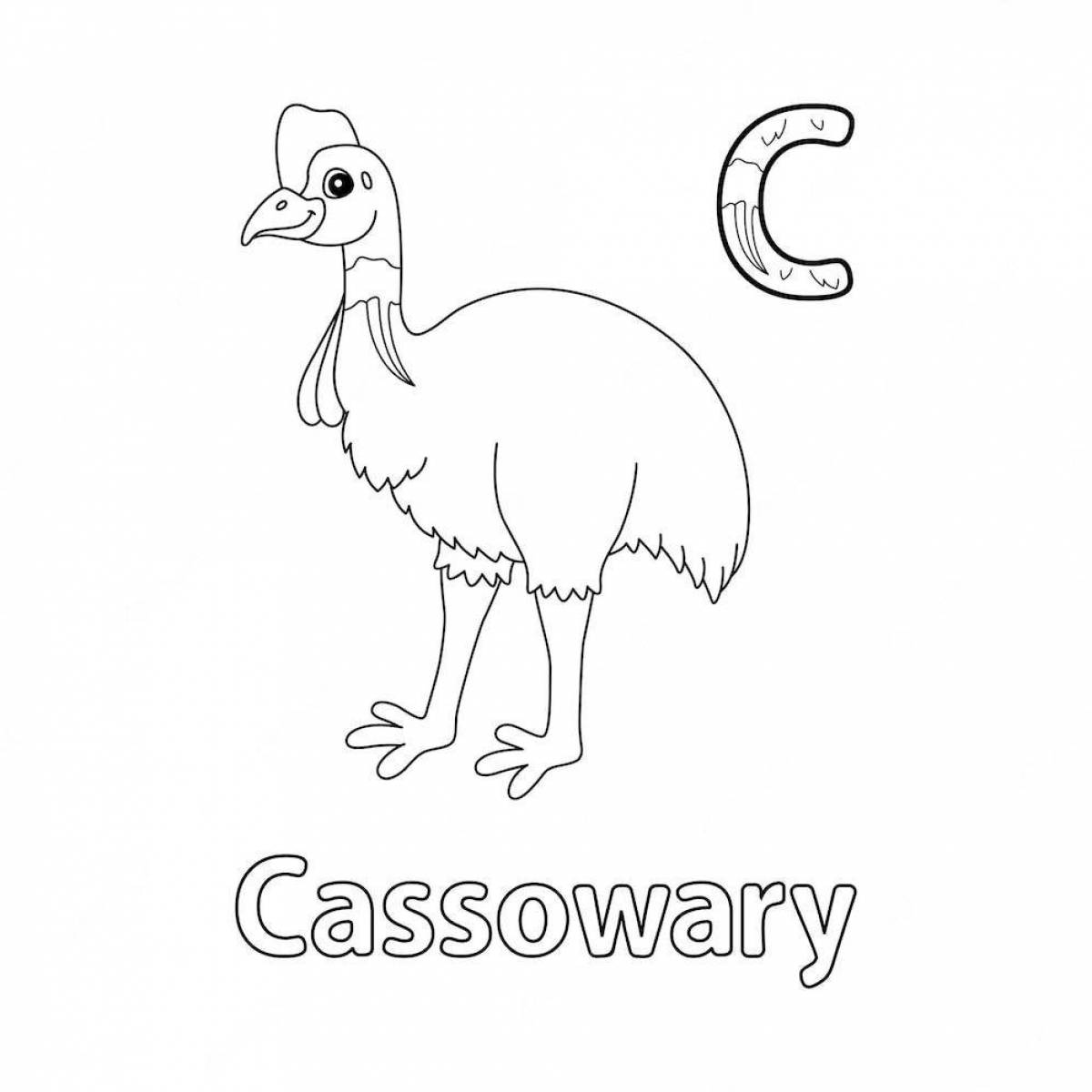 Cassowary fun coloring for kids
