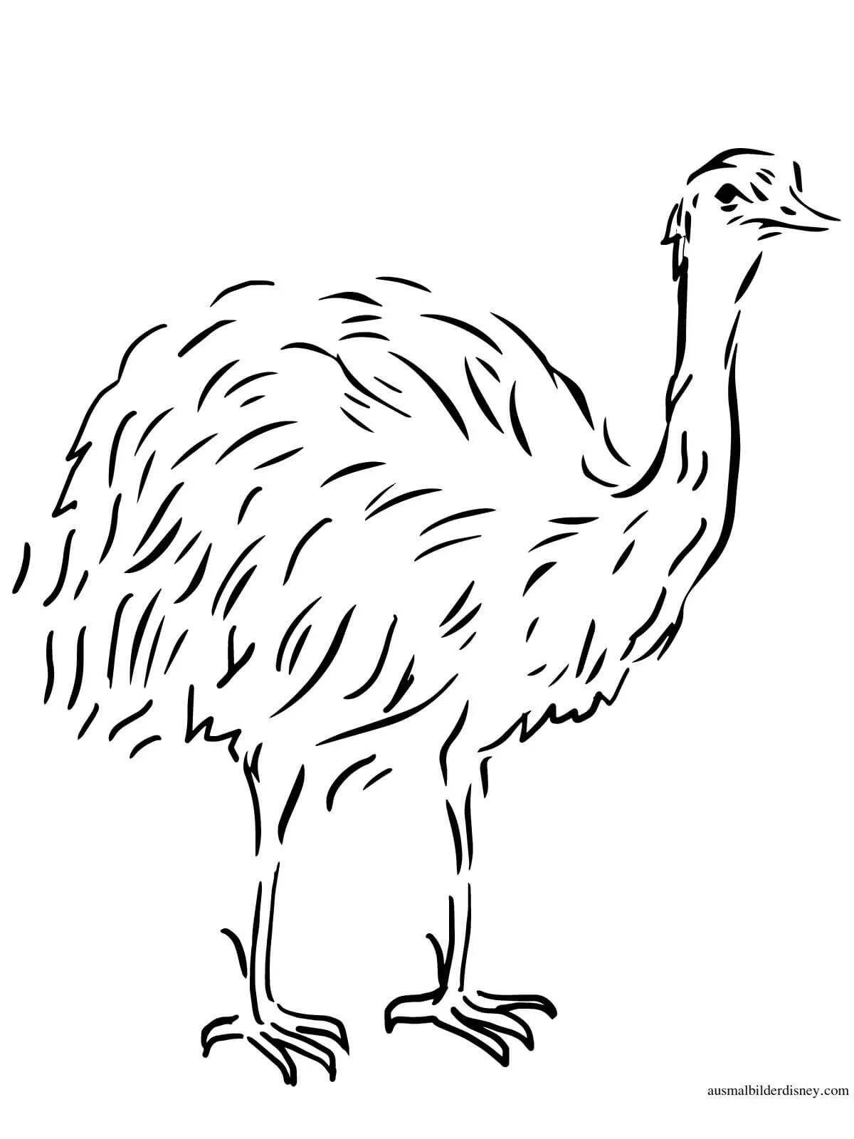 Adorable cassowary coloring book for kids