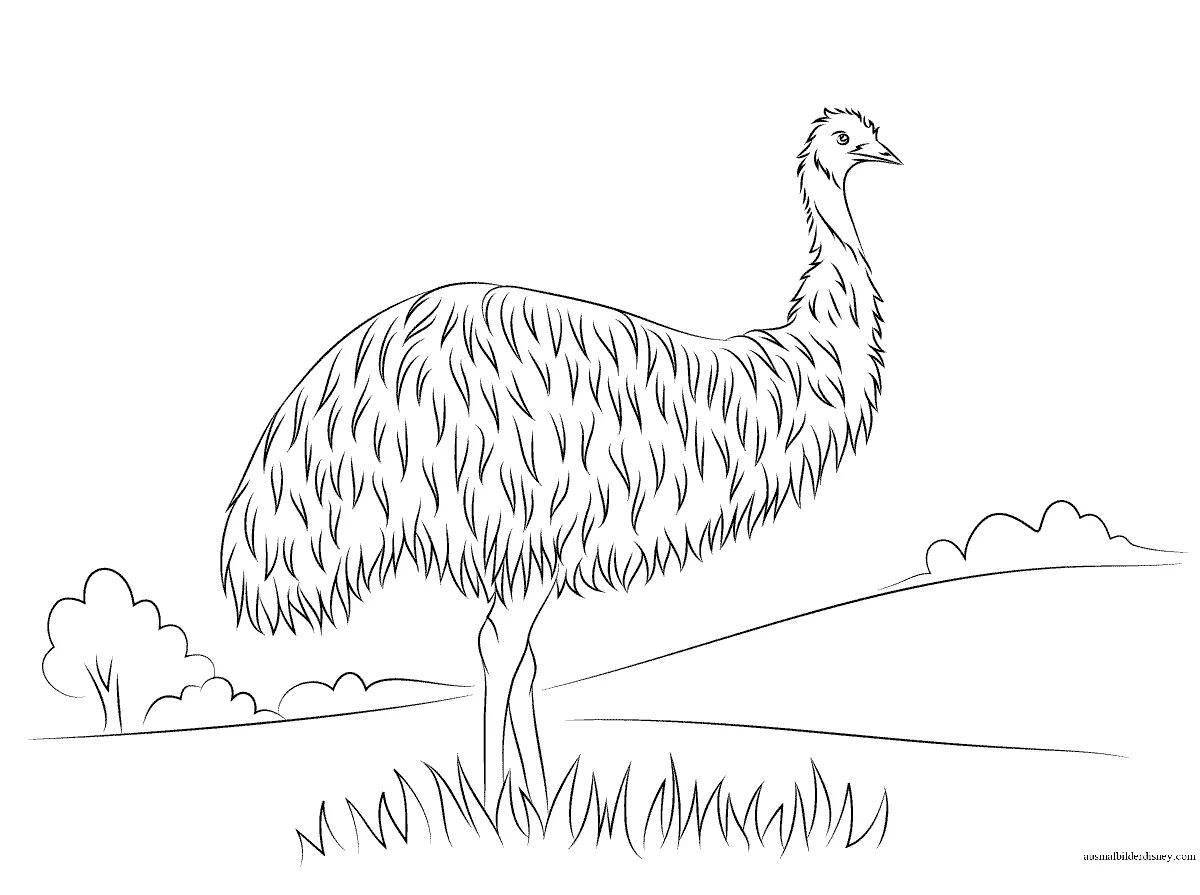 Amazing cassowary coloring book for kids