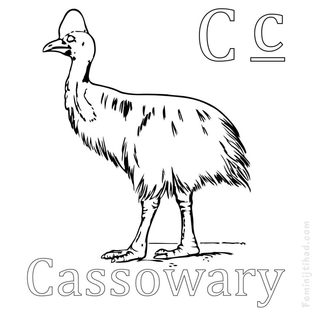 Amazing cassowary coloring book for kids