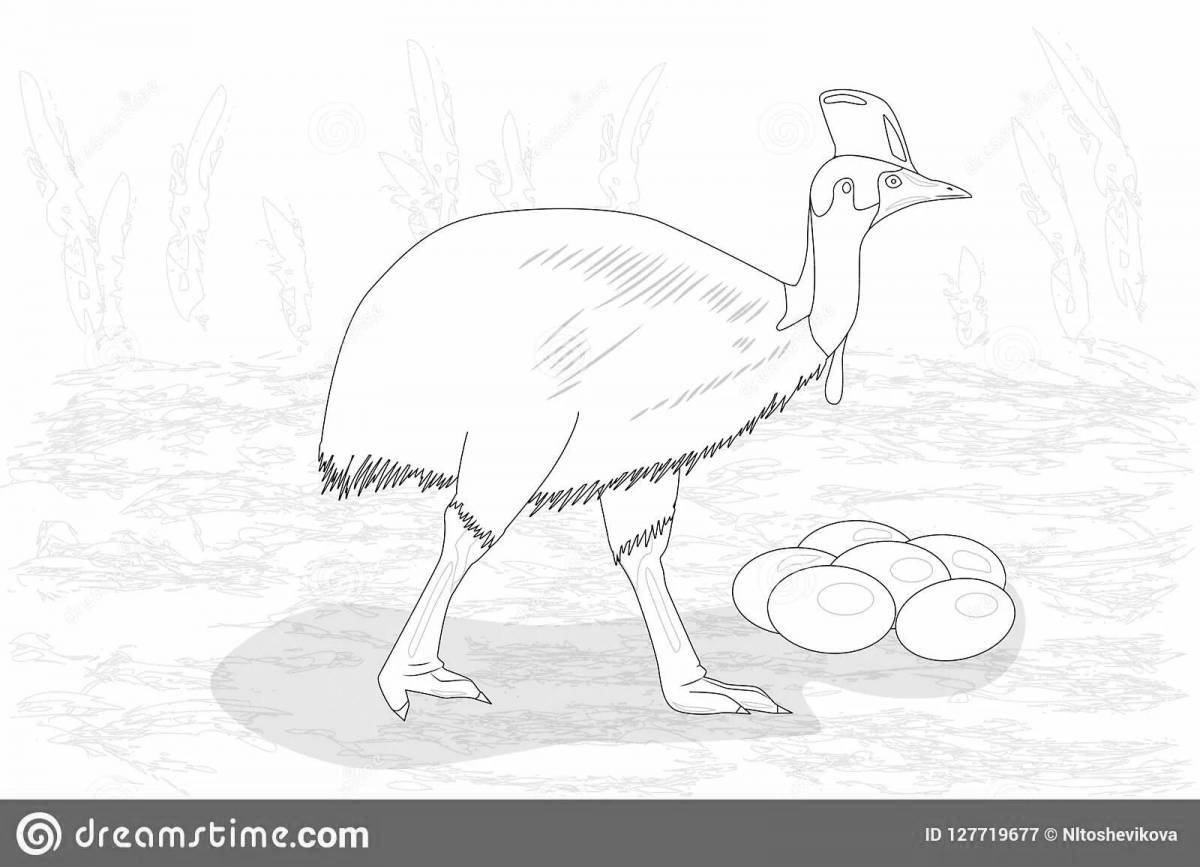 Exciting cassowary coloring book for kids