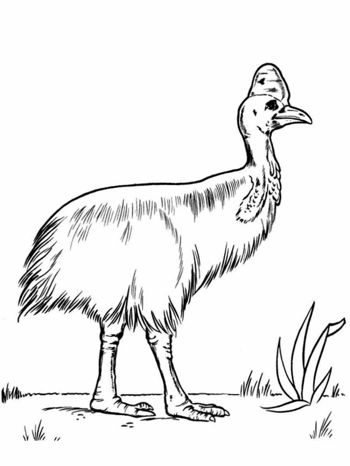Glorious cassowary coloring pages for kids