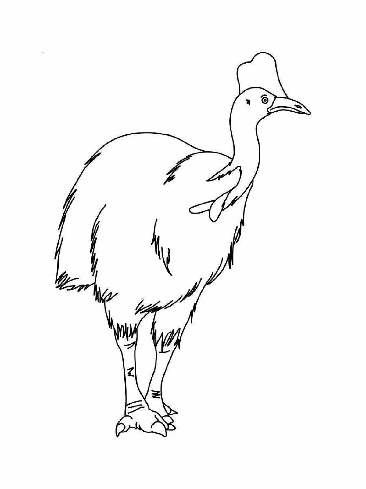Great cassowary coloring book for kids
