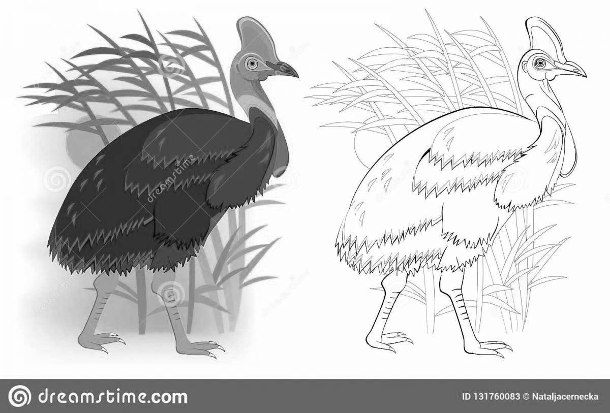 Gorgeous cassowary coloring book for kids