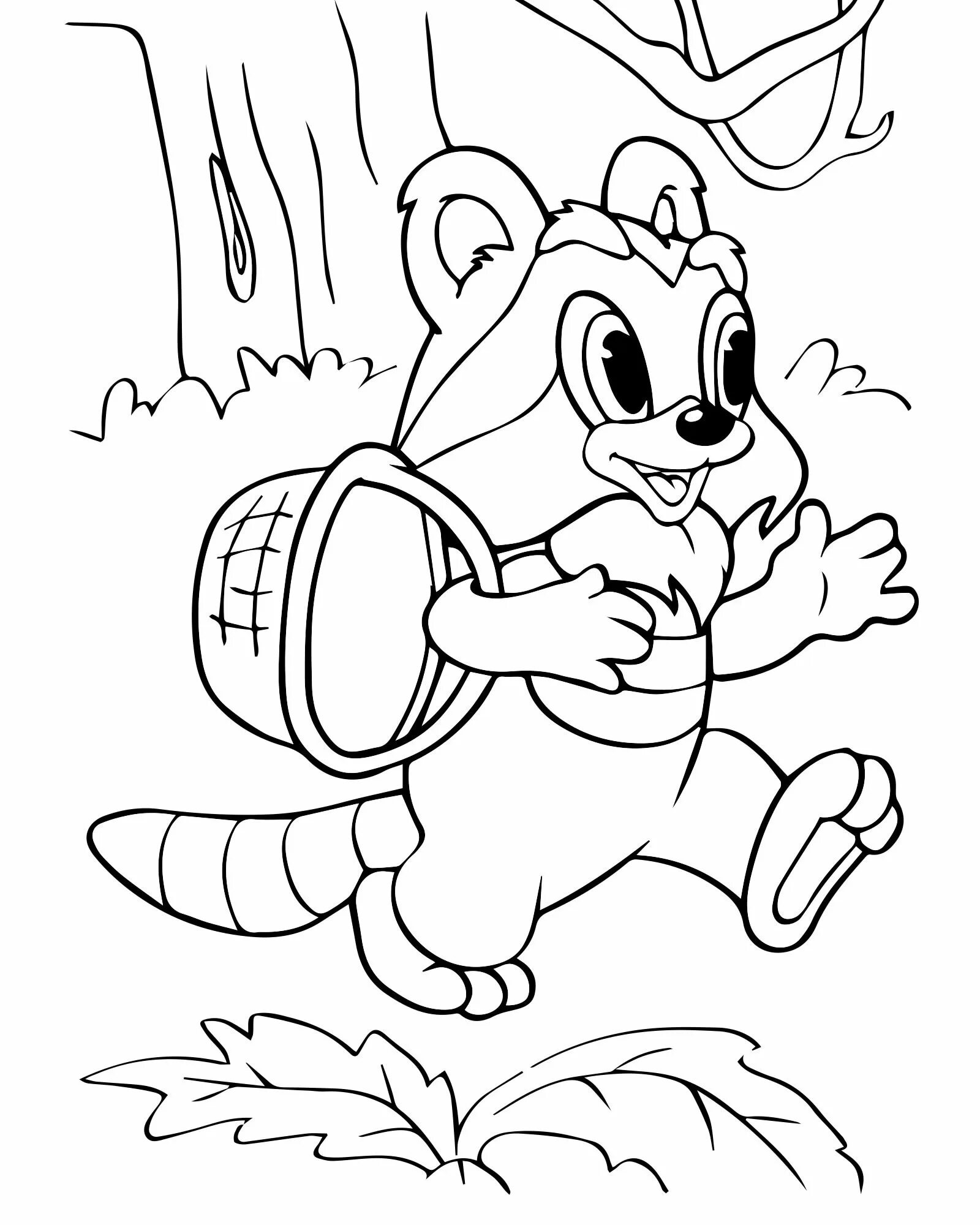 Baby raccoon for kids #4