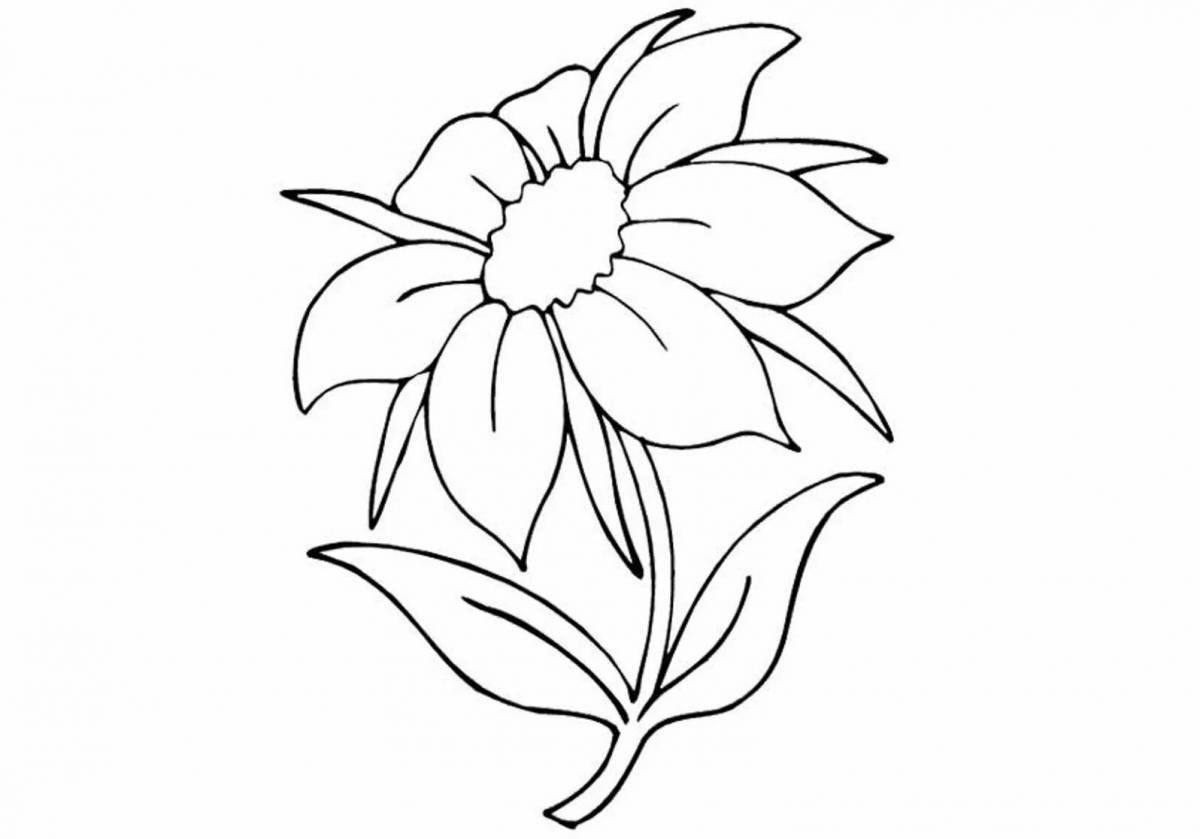 Dazzling scarlet flower coloring page for kids