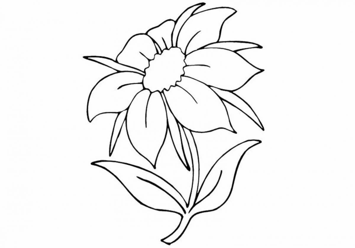 Photo Dazzling scarlet flower coloring page for kids