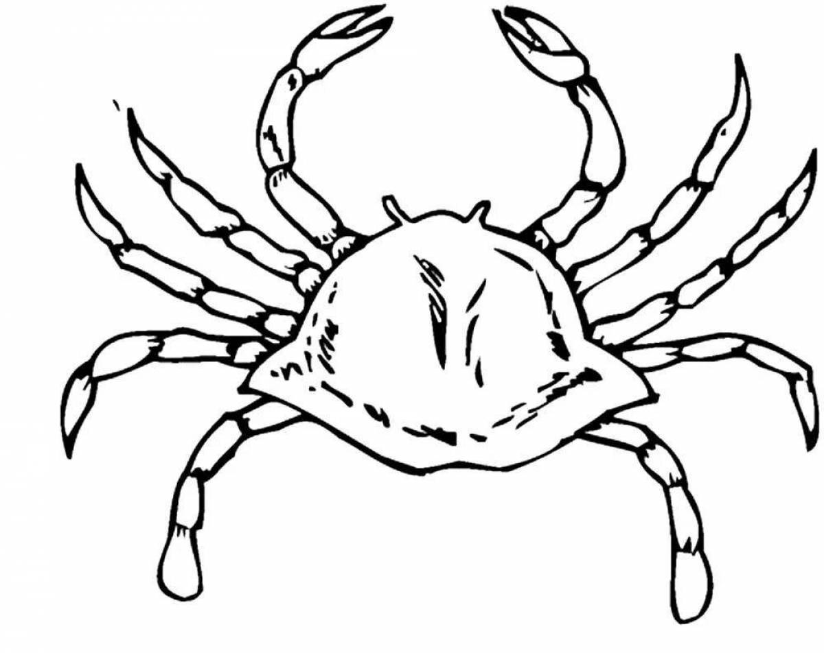 Cute crab coloring book for kids