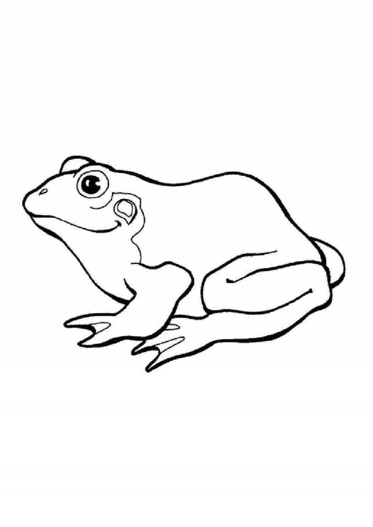 Humorous drawing of a frog for children