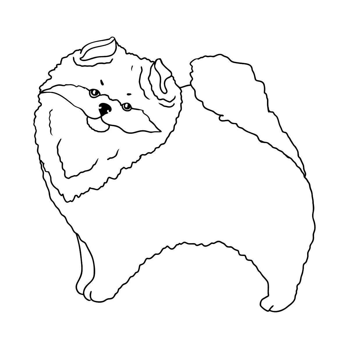 Великолепный шпиц раскраски для детей