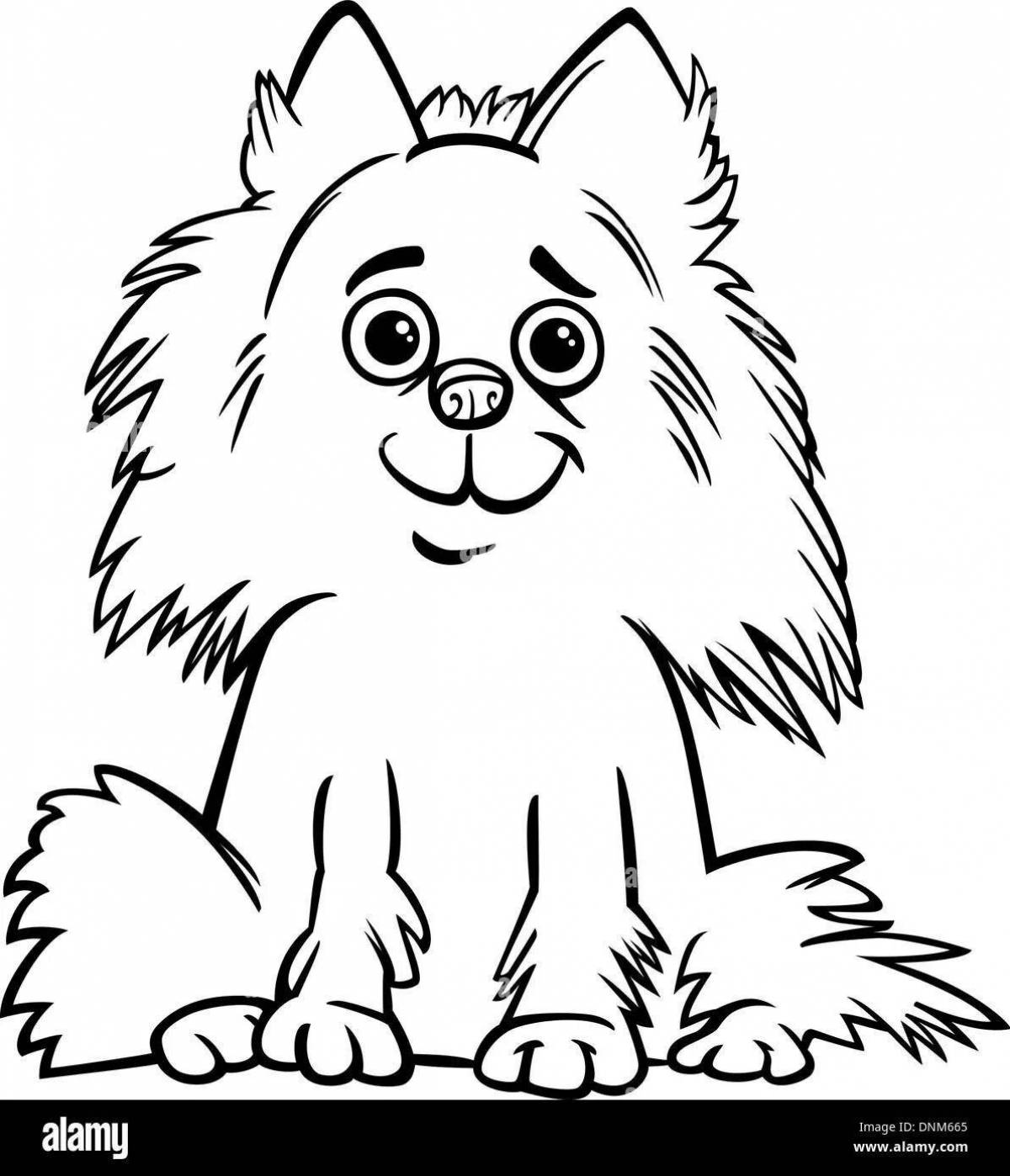Outstanding pomeranian coloring book for kids