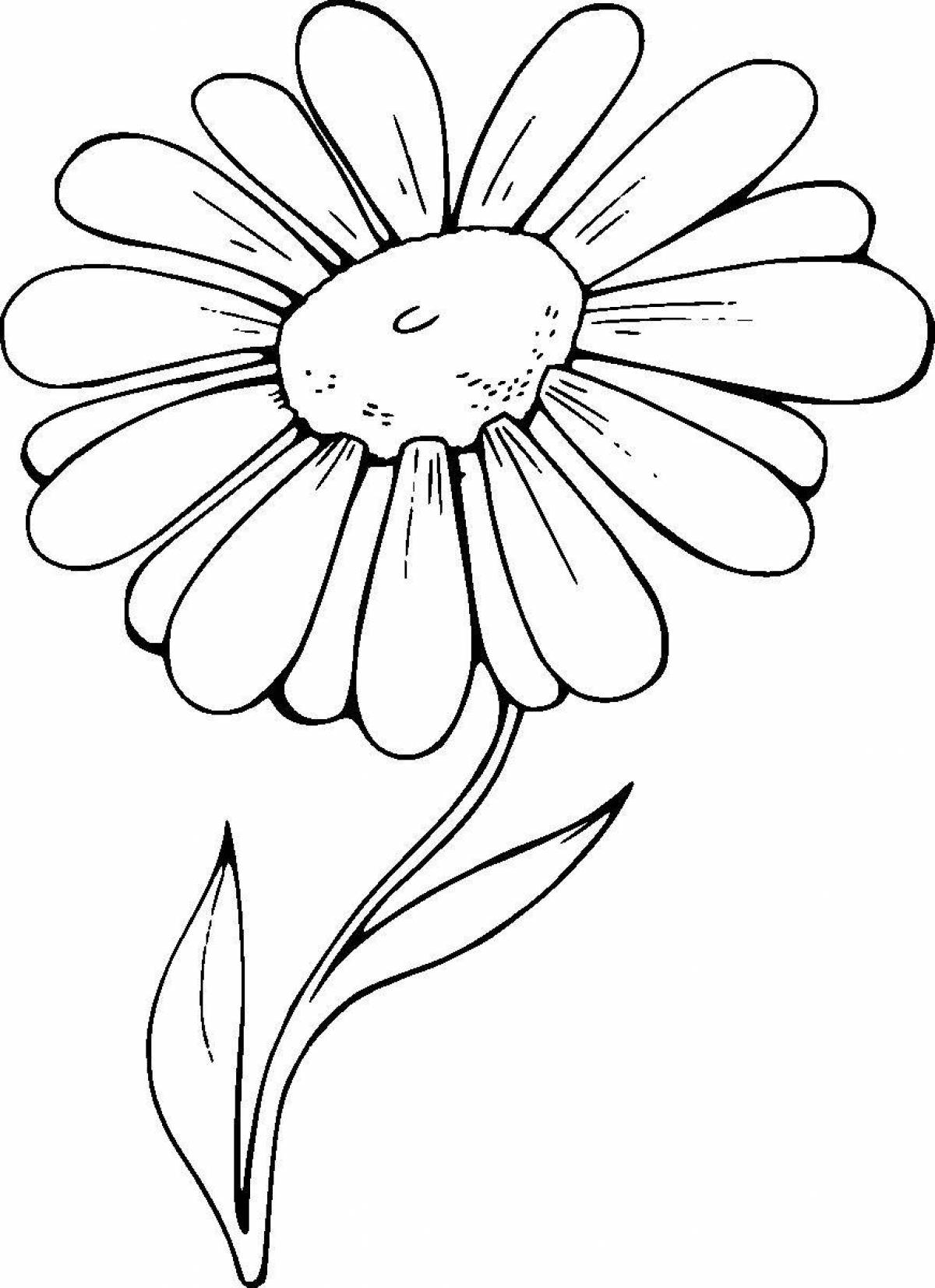Bright daisy flower coloring book for toddlers