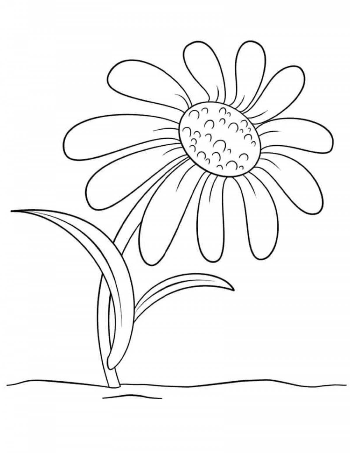 A fun coloring book for preschoolers with daisies