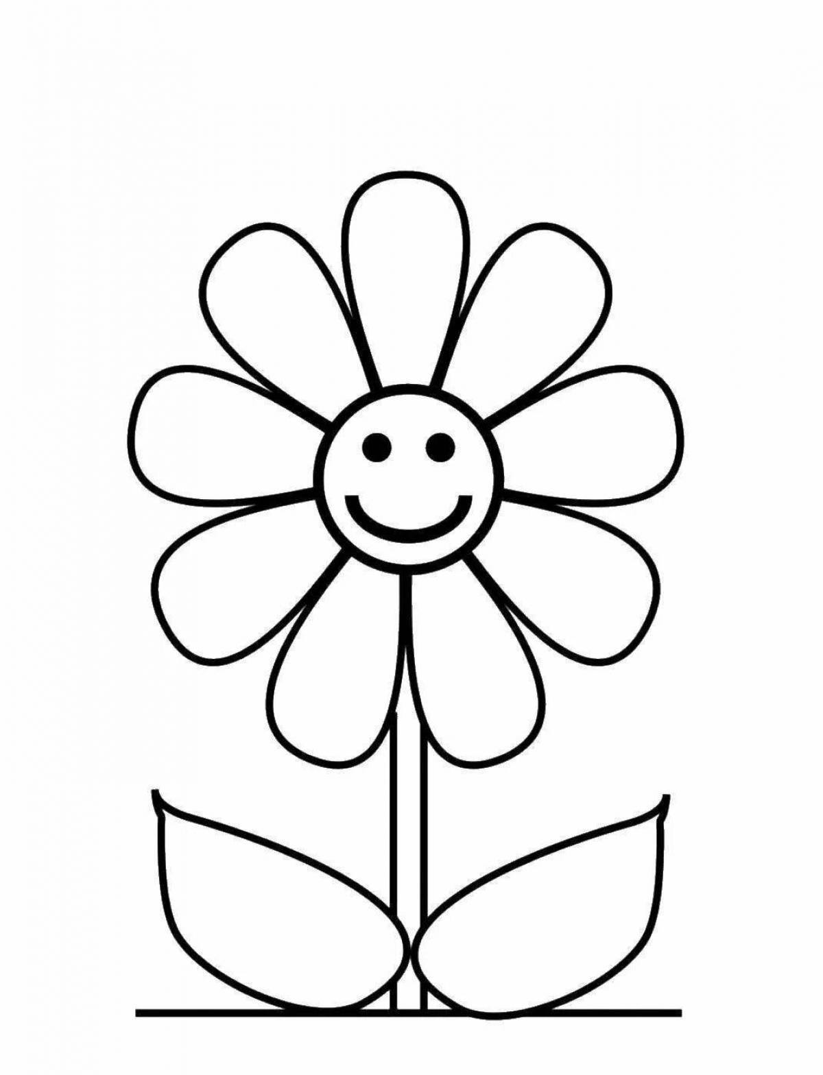 Fun chamomile flower coloring for kids