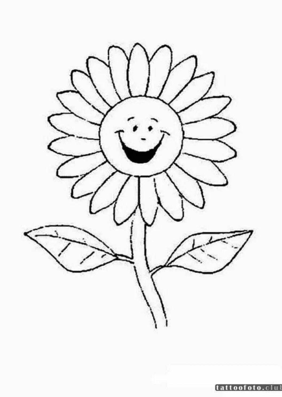 Coloring book shining chamomile flower for children