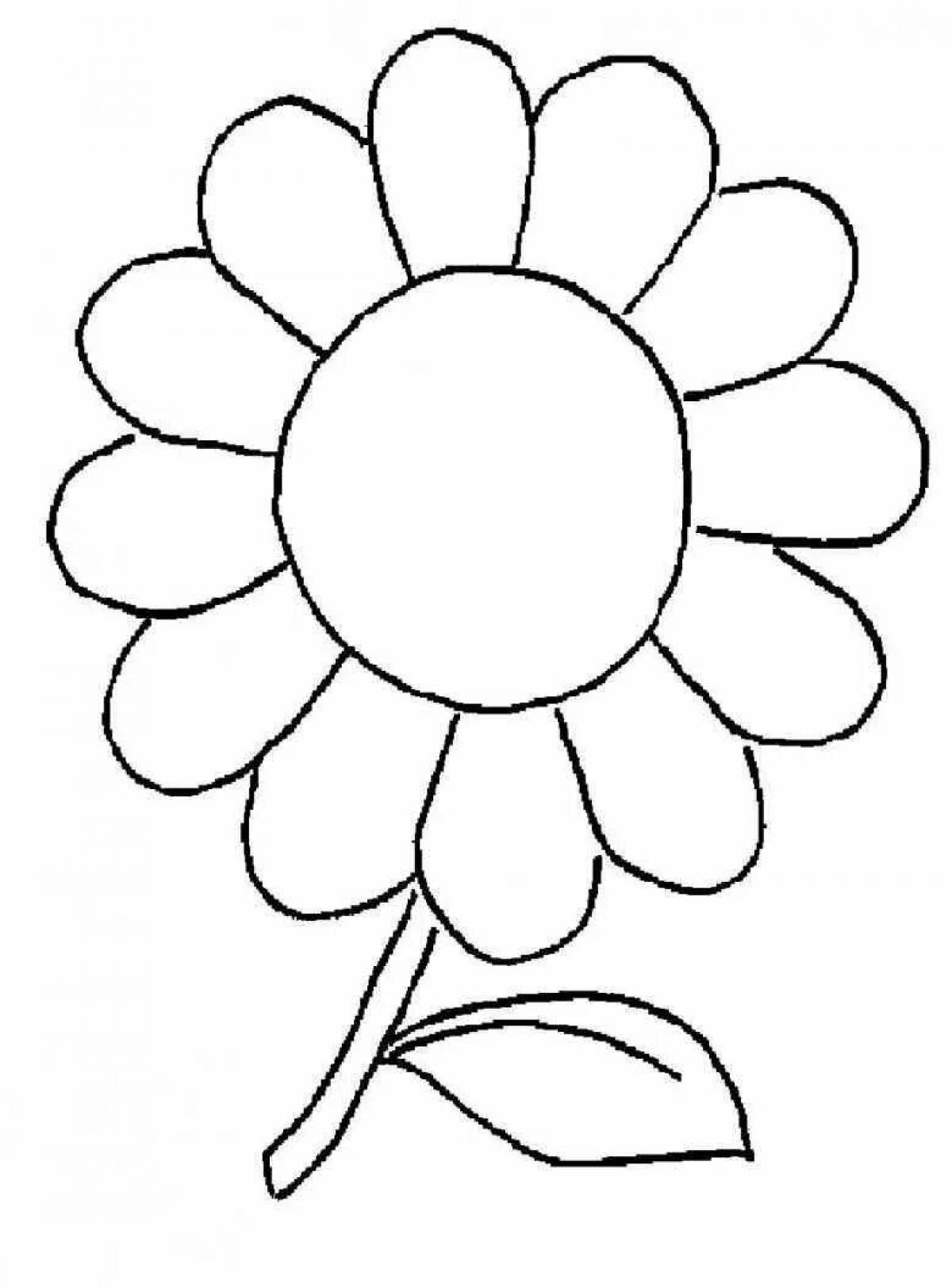 Gorgeous daisy flower coloring for kids