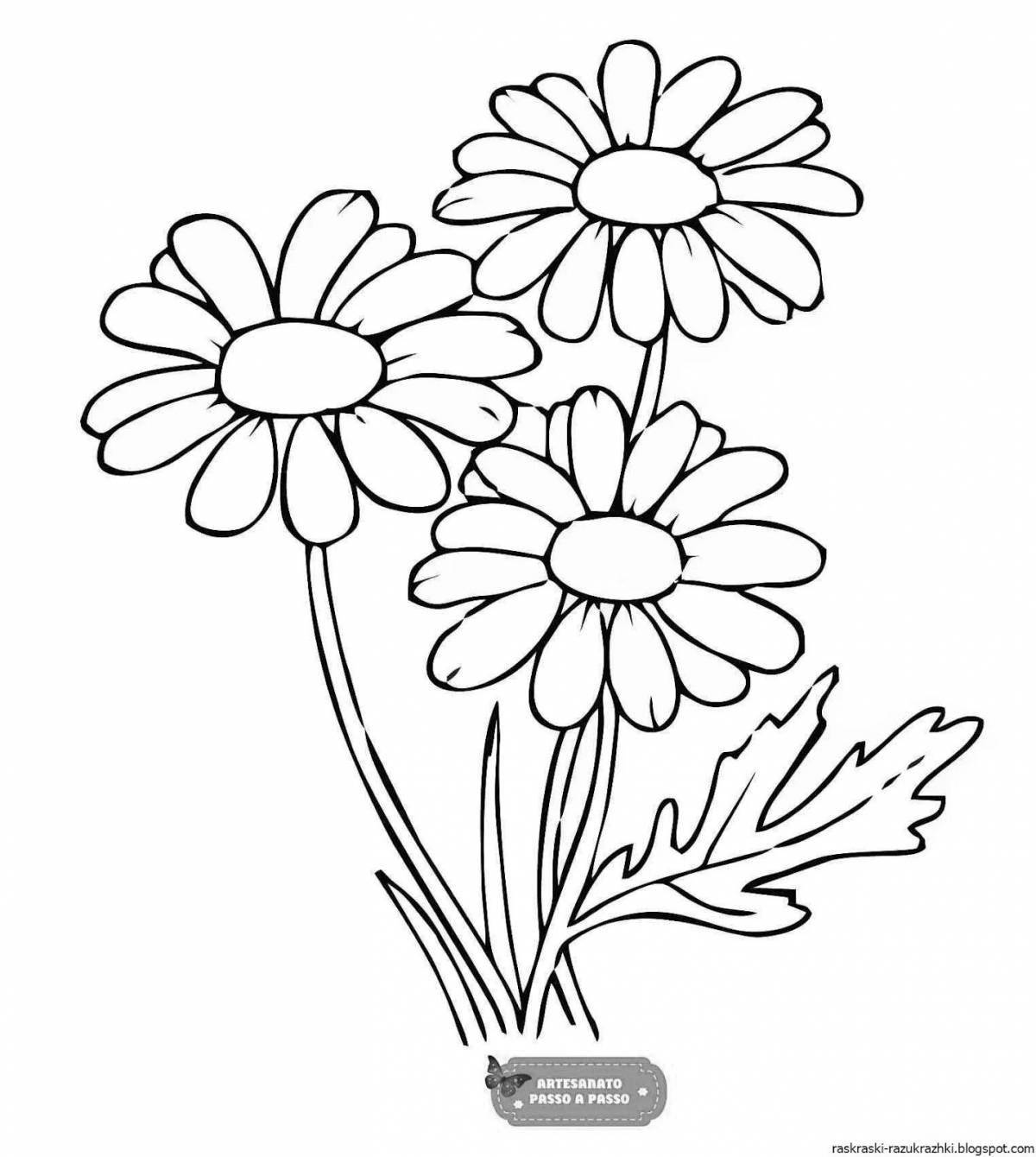 Perfect chamomile flower coloring page for juniors