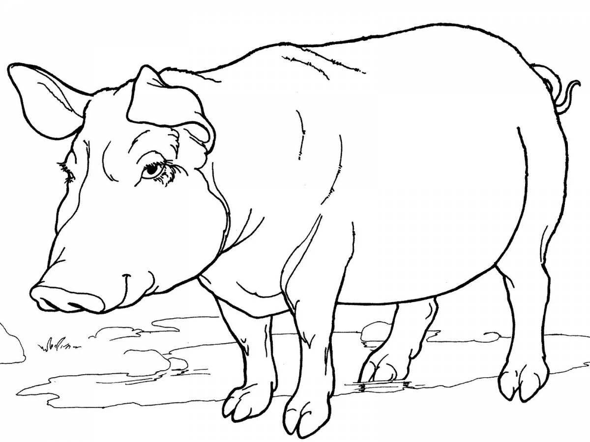 Exotic pet coloring pages for kids