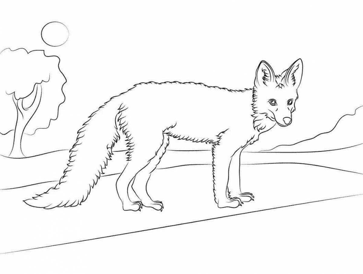 Colorful fox in winter coloring book