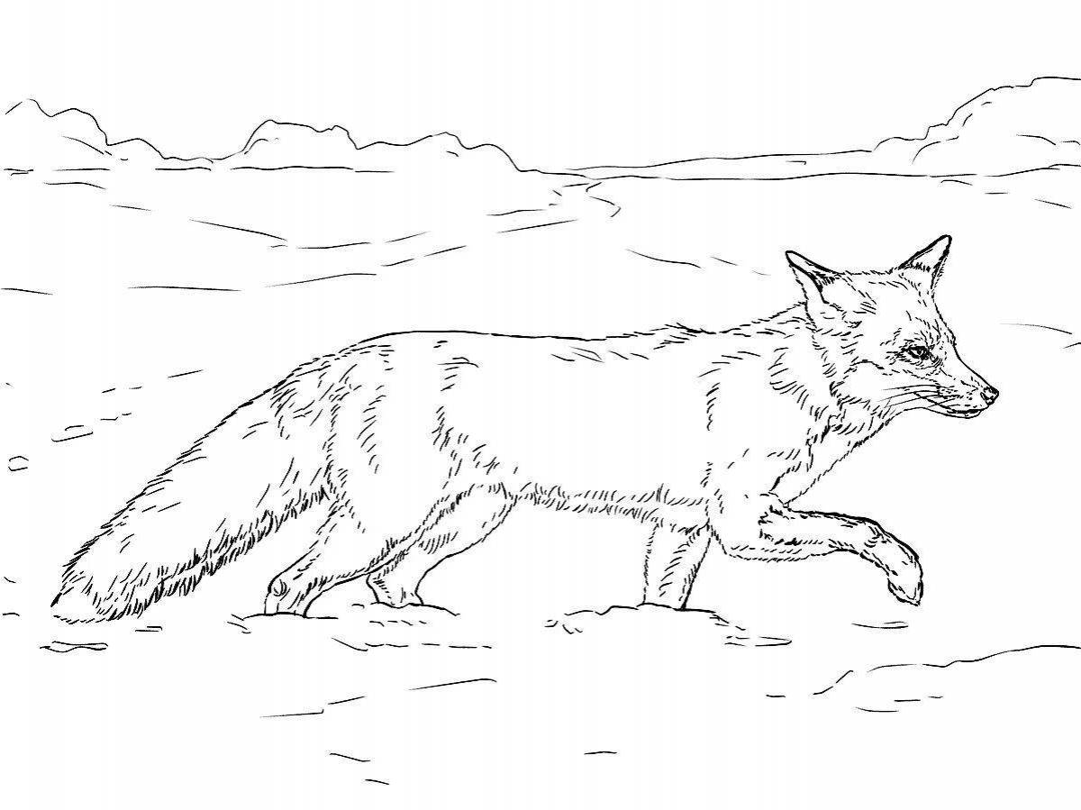Soft fox winter coloring book