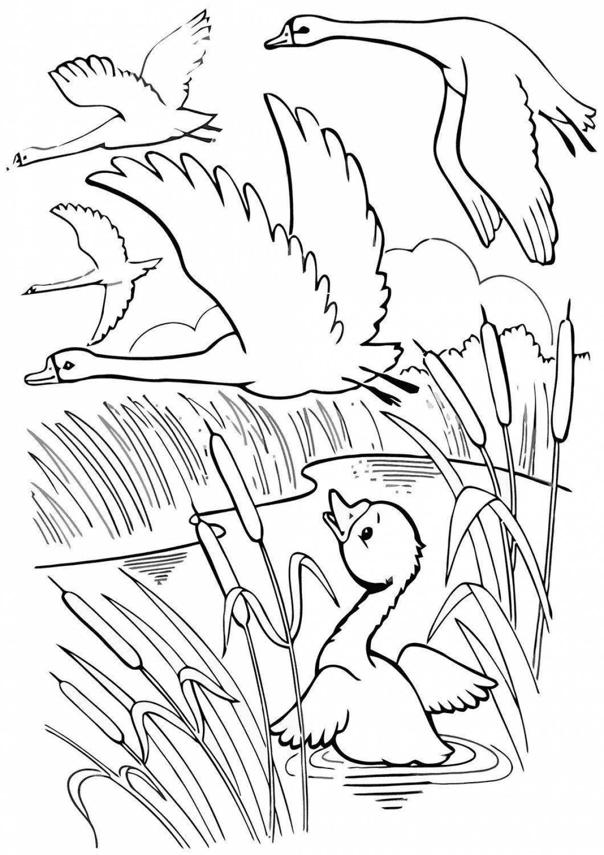 Cute ugly duckling coloring pages for kids