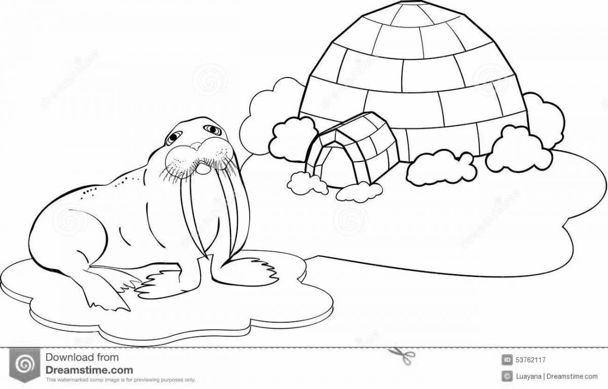 Dreamy north pole coloring book for kids