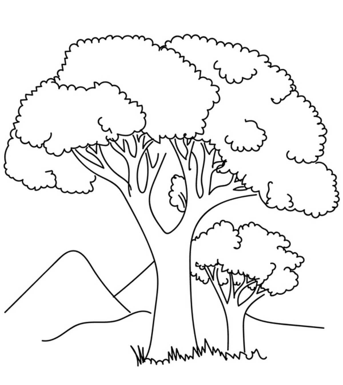 Colored drawing of a tree for children