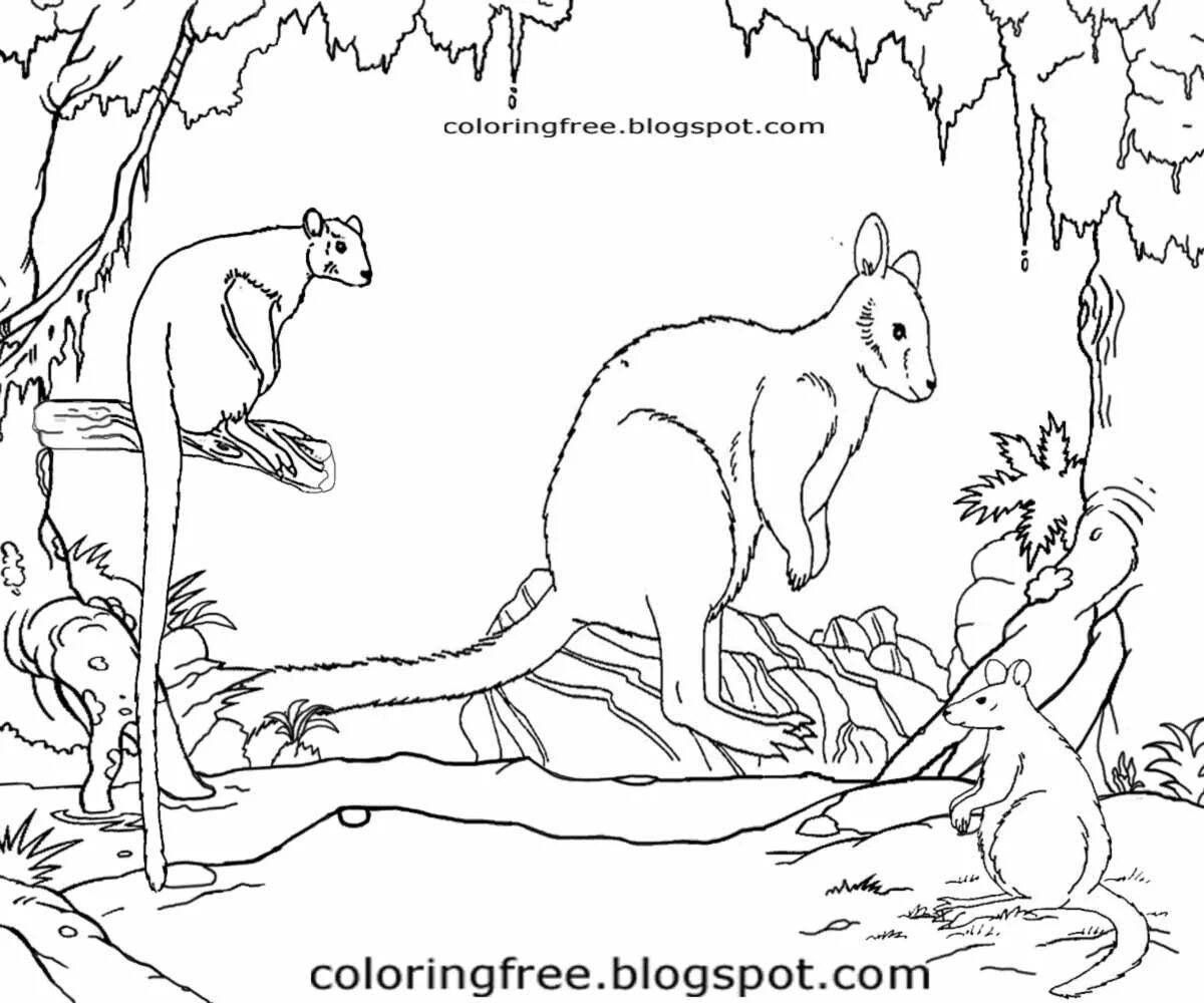 Красочная раскраска австралийских животных для детей