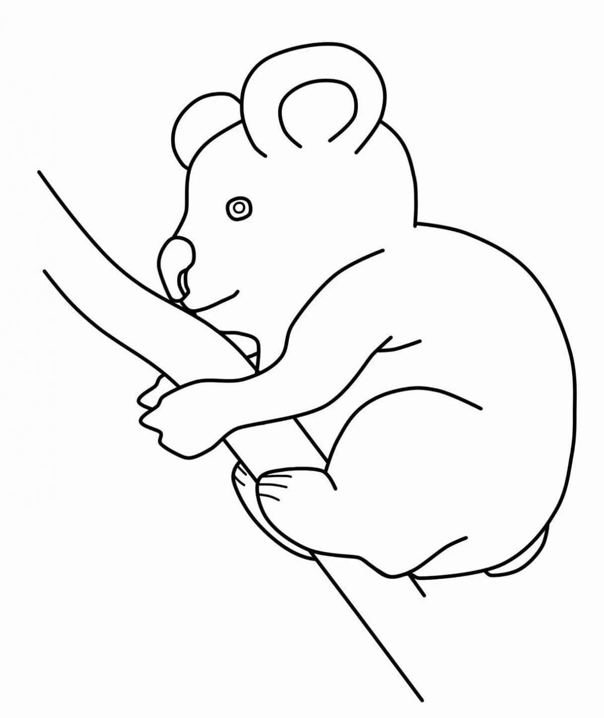 Веселая раскраска австралийских животных для детей