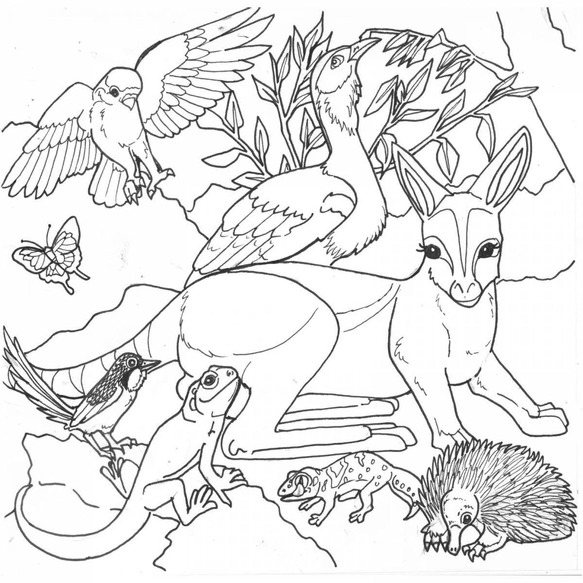 Wonderful Australian animal coloring book for kids