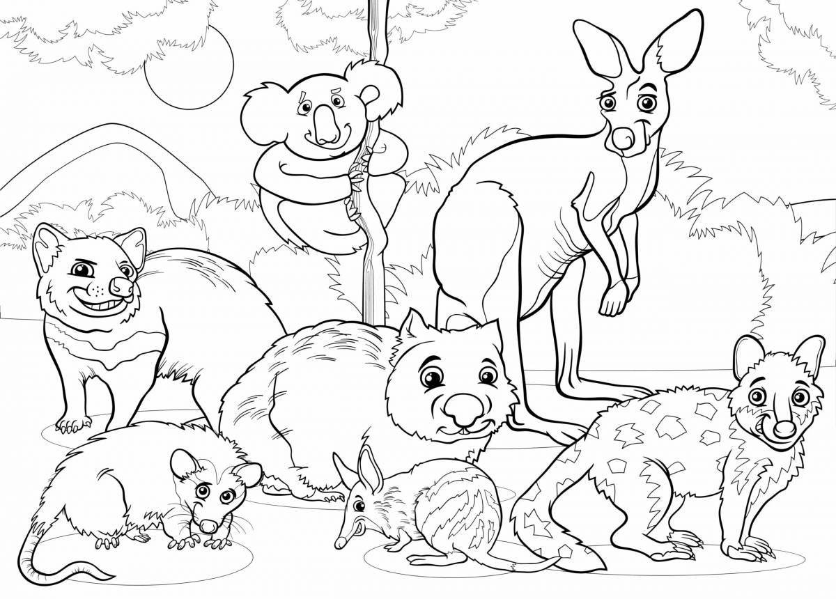 Прекрасная раскраска австралийских животных для детей