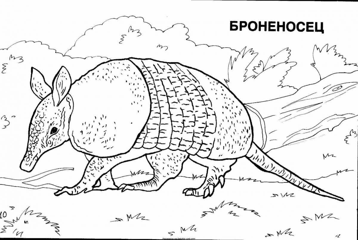 Australian animal coloring book for kids