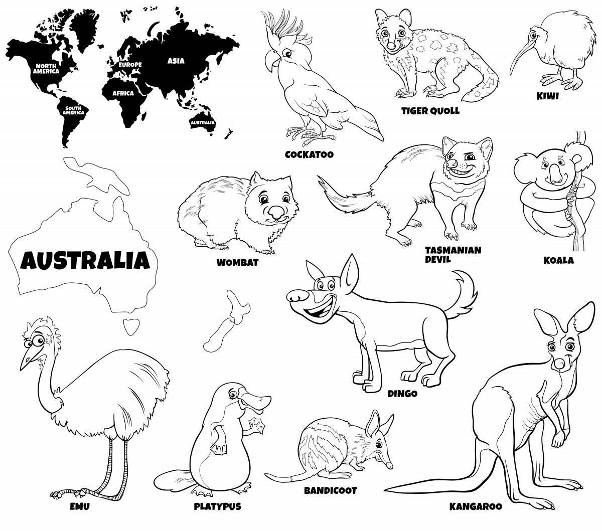 Креативная раскраска австралийских животных для детей