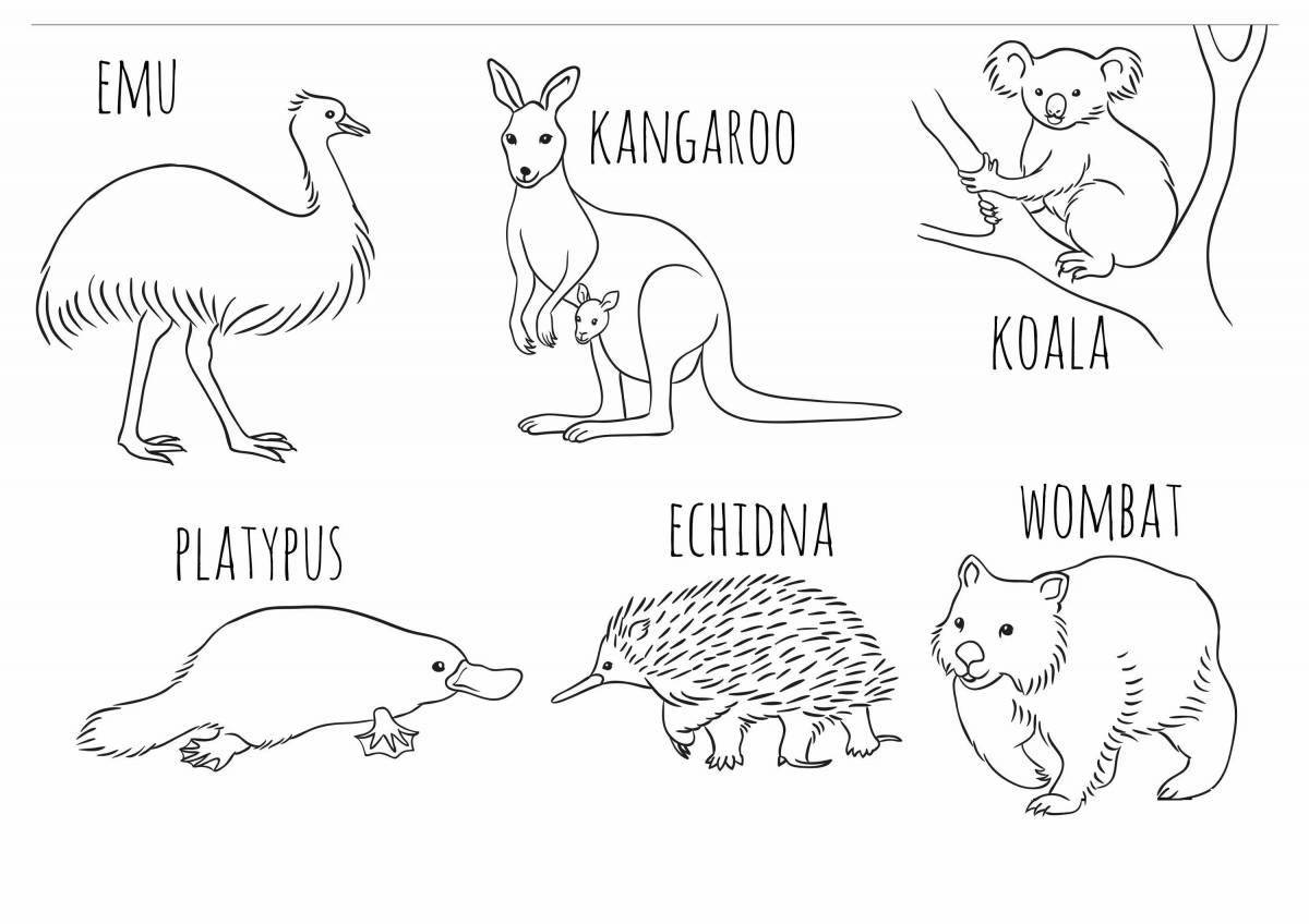 Australian animals for kids #2