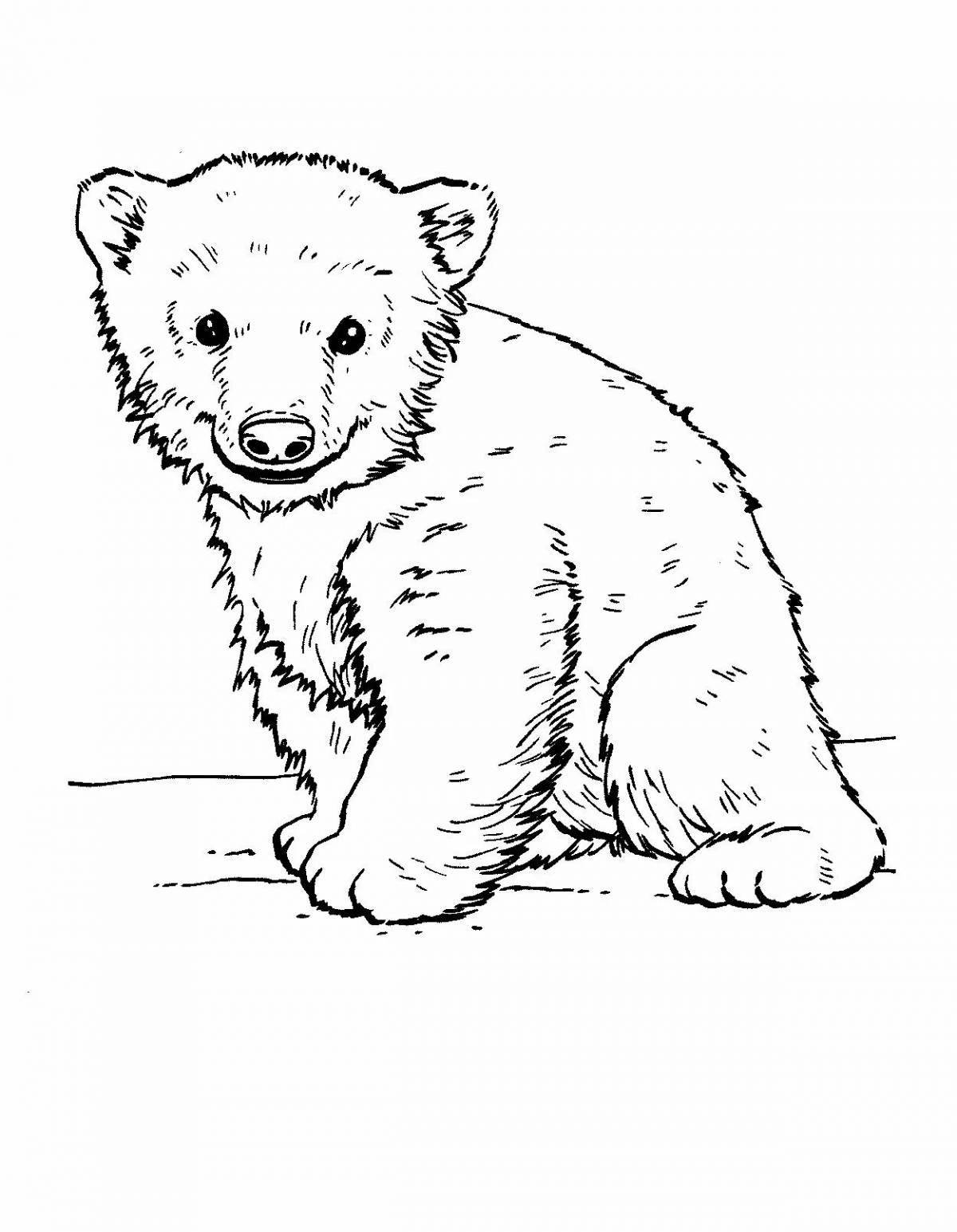Coloring book funny teddy bear with cubs